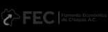 Logo FEC