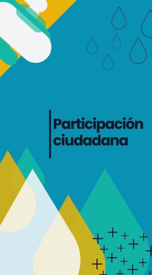 Participación Ciudadana