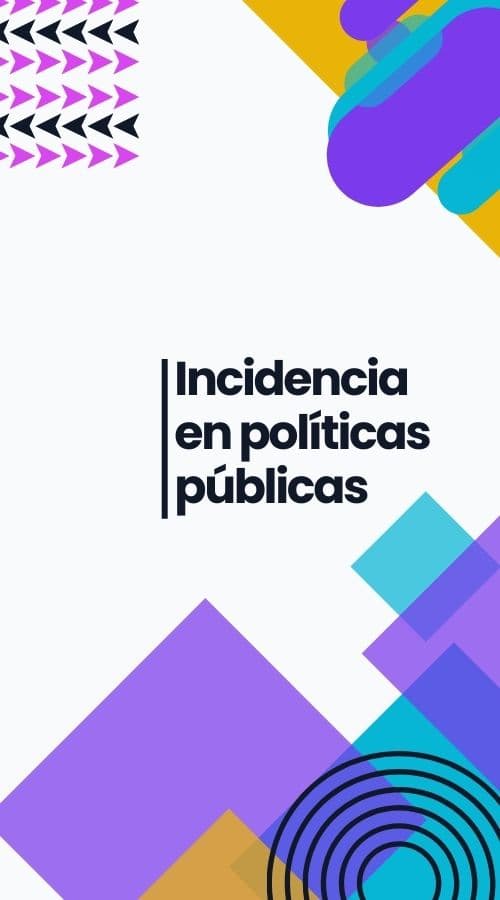 Incidencia en Políticas Públicas